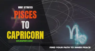 The Magnetism between Pisces and Capricorn: What Attracts Them?