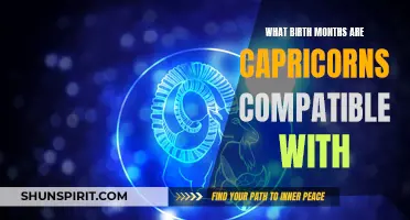 The Most Compatible Birth Months for Capricorns: A Zodiac Guide