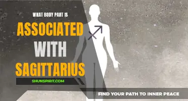 The Astrological Sign Sagittarius and Its Associated Body Part