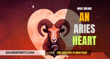 The Unexpected Miseries That Break an Aries Heart