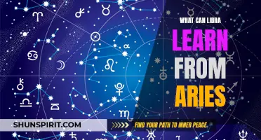 What Libra Can Learn from Aries: Harnessing Passion and Courage
