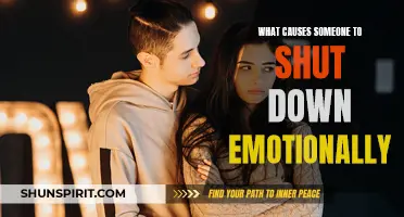 Understanding the Factors that Lead to Emotional Shutdown