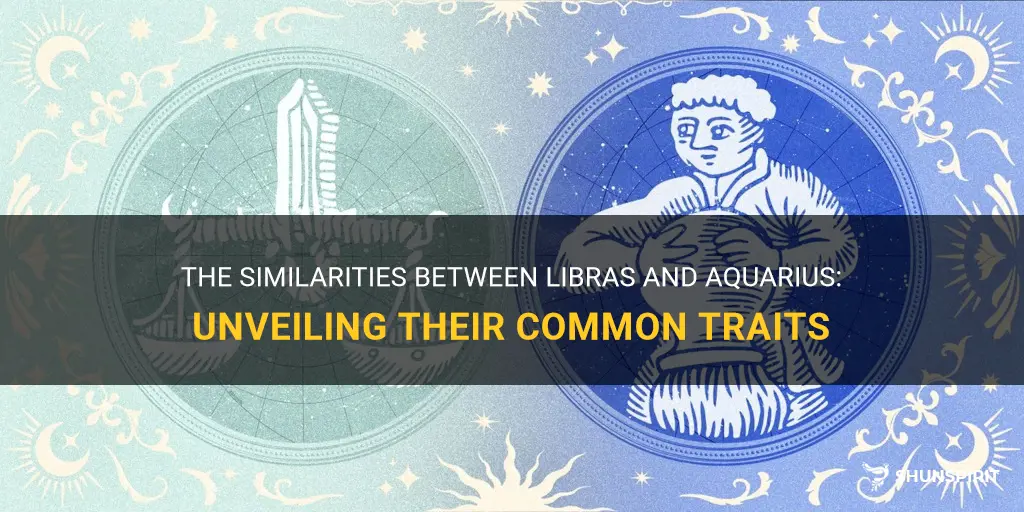 what di libras and aquarius have in common