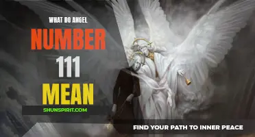 Uncovering the Meaning Behind Angel Number 111