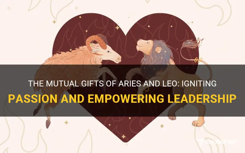 what do aries and leo give to one another
