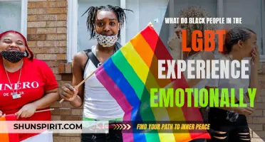 Exploring the Emotional Experiences of Black Individuals in the LGBT Community