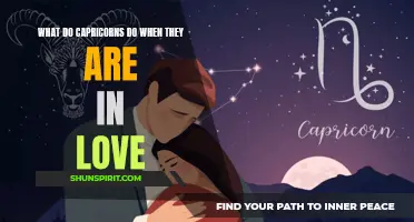 Capricorn's Approach to Love: How They Navigate Relationships