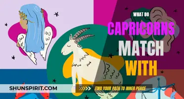 What Capricorns Make the Best Matches With