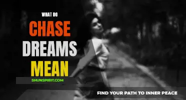 Exploring the Meaning Behind Chase Dreams