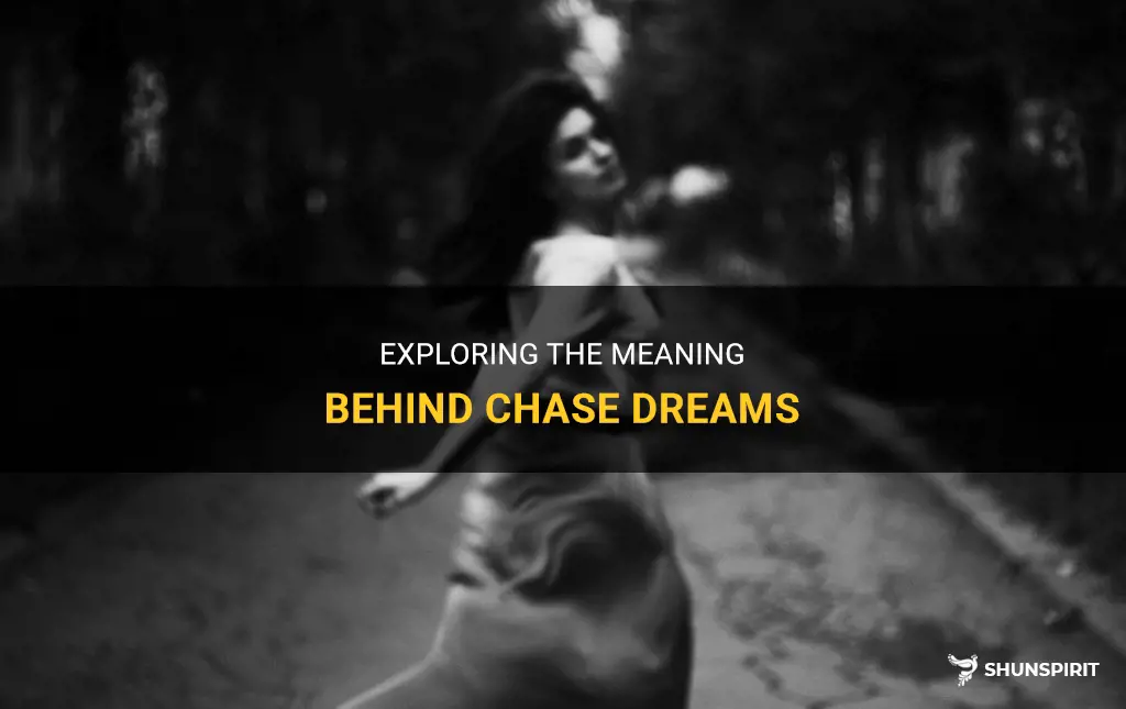 what do chase dreams mean