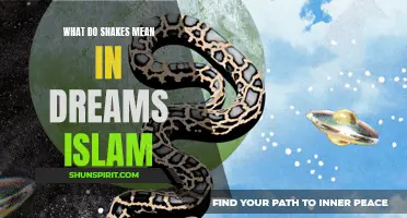 The symbolic meaning of snakes in Islam's dream interpretation