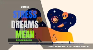 Decoding the Meaning Behind Stress Dreams