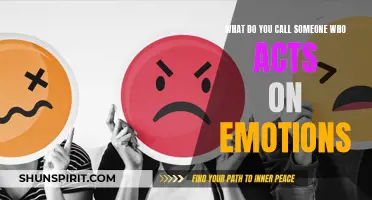 The Emotional Actor: Exploring the Traits of Someone Who Acts on Emotions