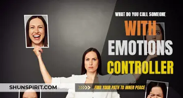 The Power of Control: Exploring What it Means to be a 'Controller' of Emotions