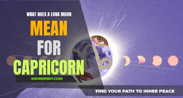 The Meaning of a Luna Moon for Capricorn: Insights for the Ambitious and Determined Sign