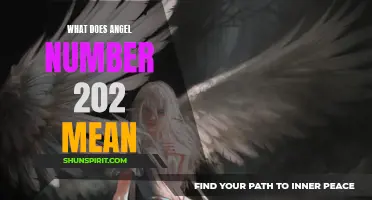 Unlocking the Meaning of Angel Number 202: What Does it All Mean?