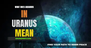 The Meaning of Aquarius in Uranus: Unveiling the Eleventh House Energies