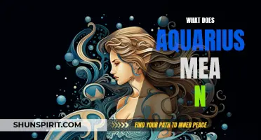 The Meaning and Traits of Aquarius: An In-Depth Look into the Enigmatic Zodiac Sign