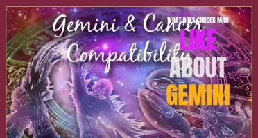 Understanding the Astrological Compatibility: What Cancer Man Likes About Gemini