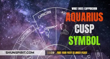 The Symbolism of the Capricorn Aquarius Cusp: Unlocking Astrological Fusion
