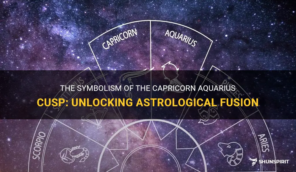 what does cappricorn aquarius cusp symbol