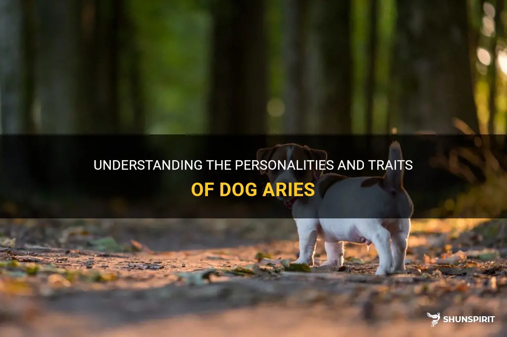 what does dog aries mean