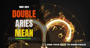 The Power of Double Aries: Unleashing the Fiery Force Within