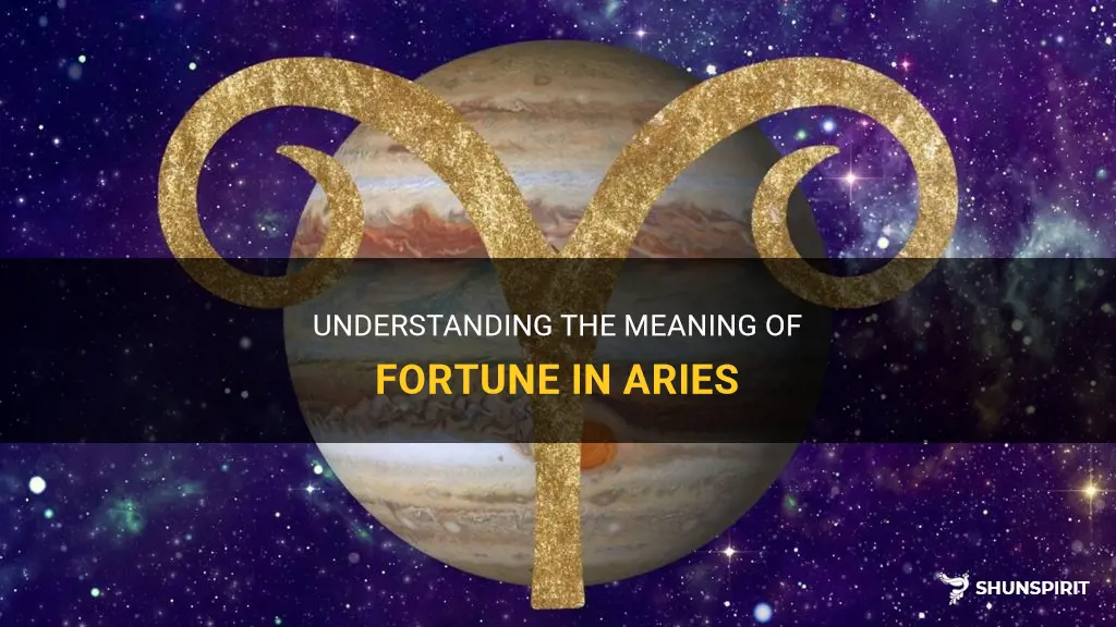 what does fortune in aries mean