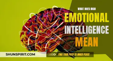 Mastering Emotional Intelligence: Understanding the Meaning of High Emotional Intelligence