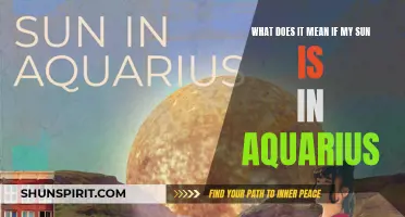 Understanding the Significance of Having the Sun in Aquarius