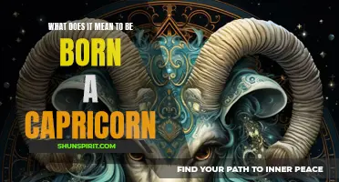 Understanding the Traits and Characteristics of Being Born a Capricorn