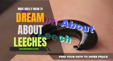 Decoding the Symbolic Meaning of Leeches in Dreams