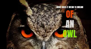 The symbolic meaning of dreaming about an owl revealed
