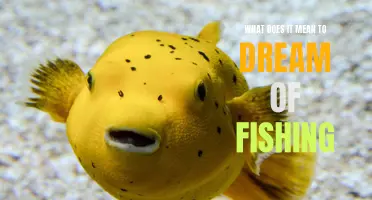The Meaning Behind Dreaming of Fishing