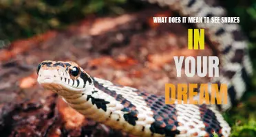 The Symbolic Meaning of Snake Dreams
