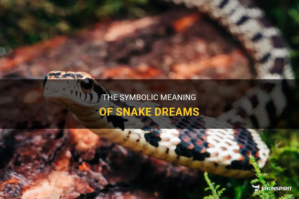 what does it mean to see snakes in your dream