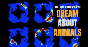The Meaning of Animal Dreams