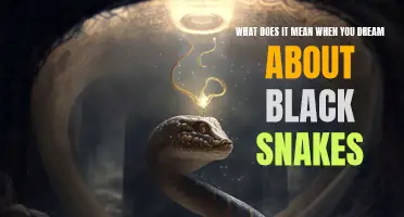 The Symbolic Meaning of Dreaming About Black Snakes Unveiled