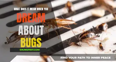 Decoding the Hidden Messages: Dreaming about Bugs Unveiled