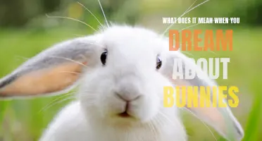 Decoding the Symbolism: Understanding Dreams About Bunnies