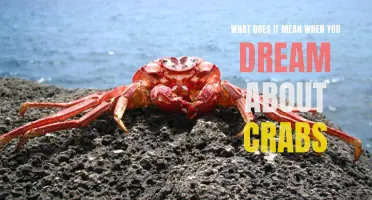 The symbolic meaning of dreaming about crabs and its interpretation