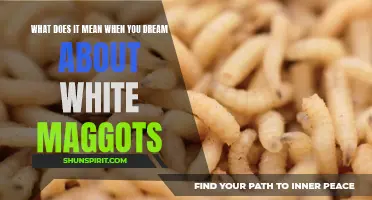 The Meaning of Dreaming About White Maggots