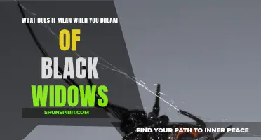 Decoding the Meaning: Dreaming of Black Widows