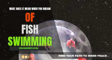 The Symbolic Meaning of Dreaming About Swimming Fish
