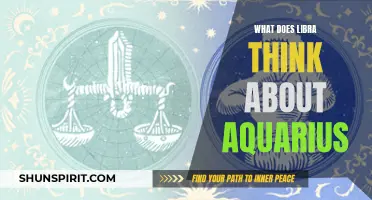 What Does Libra Really Think About Aquarius?