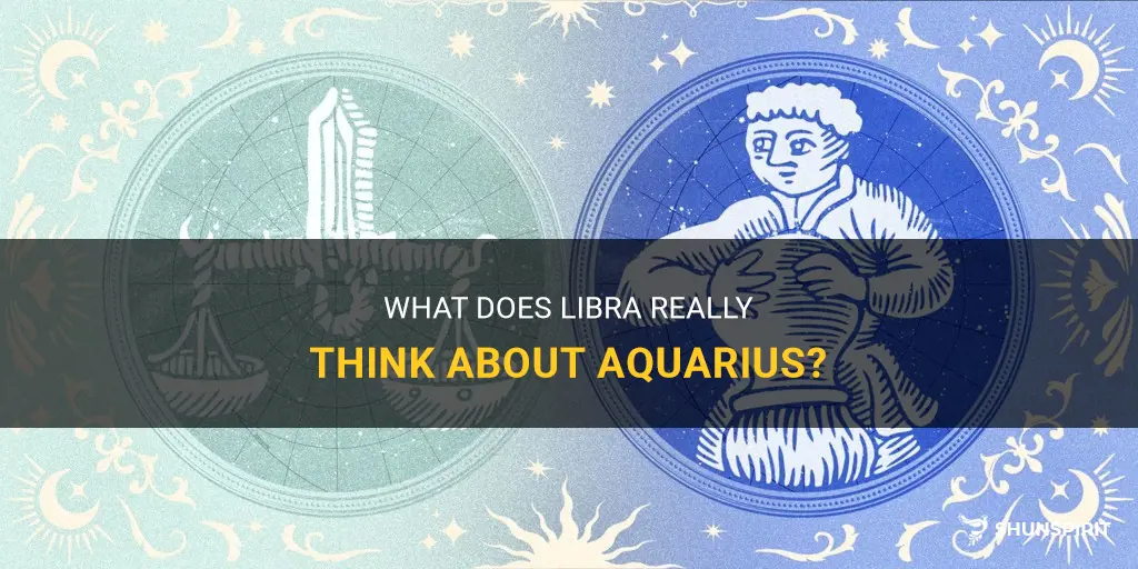 what does libra think about aquarius