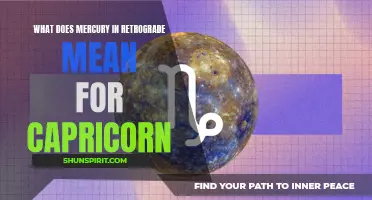 Understanding the Effects of Mercury in Retrograde on Capricorn