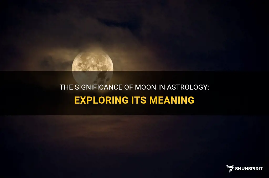 what does moon mean in astrology