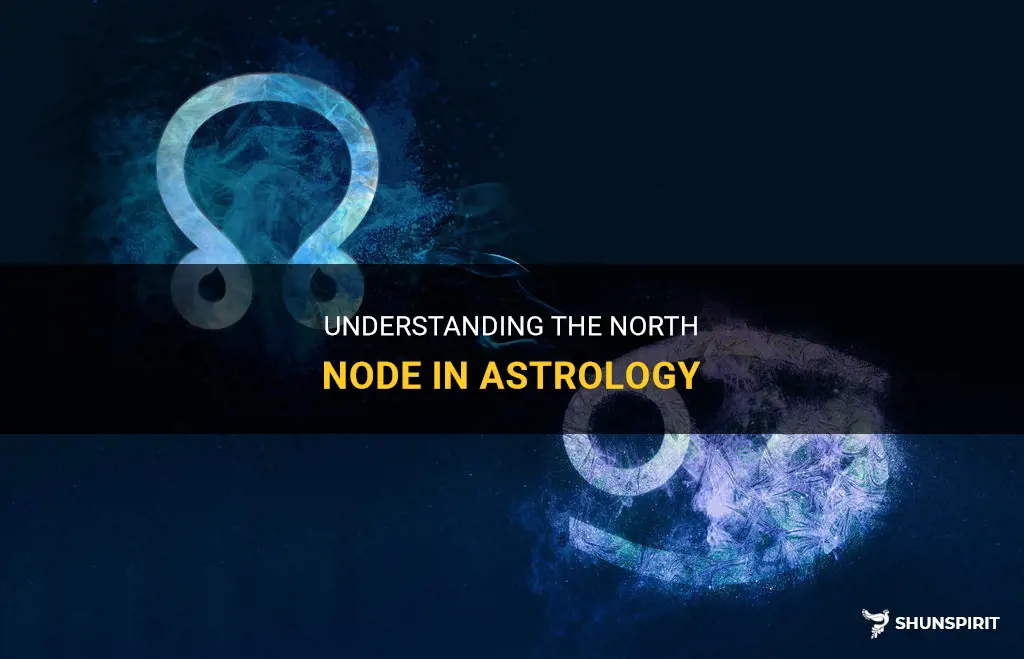what does north node mean in astrology