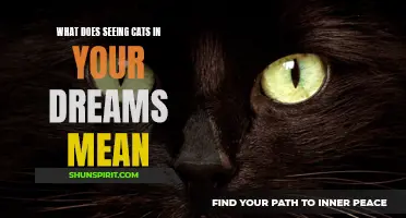 The Meaning Behind Dreaming of Cats: Unraveling the Symbolism